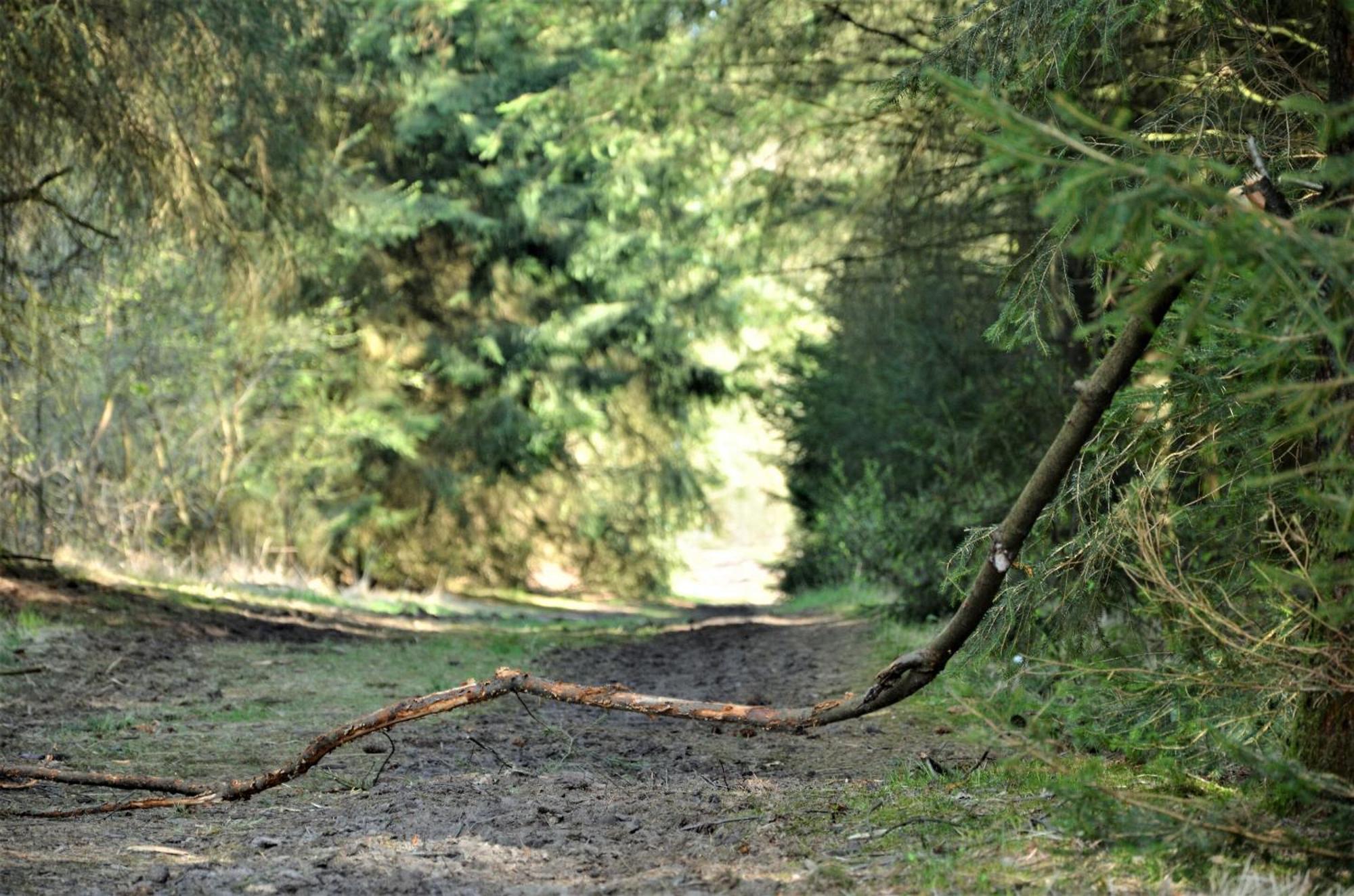 Landhotel Rehedyk Sankt Michaelisdonn Esterno foto