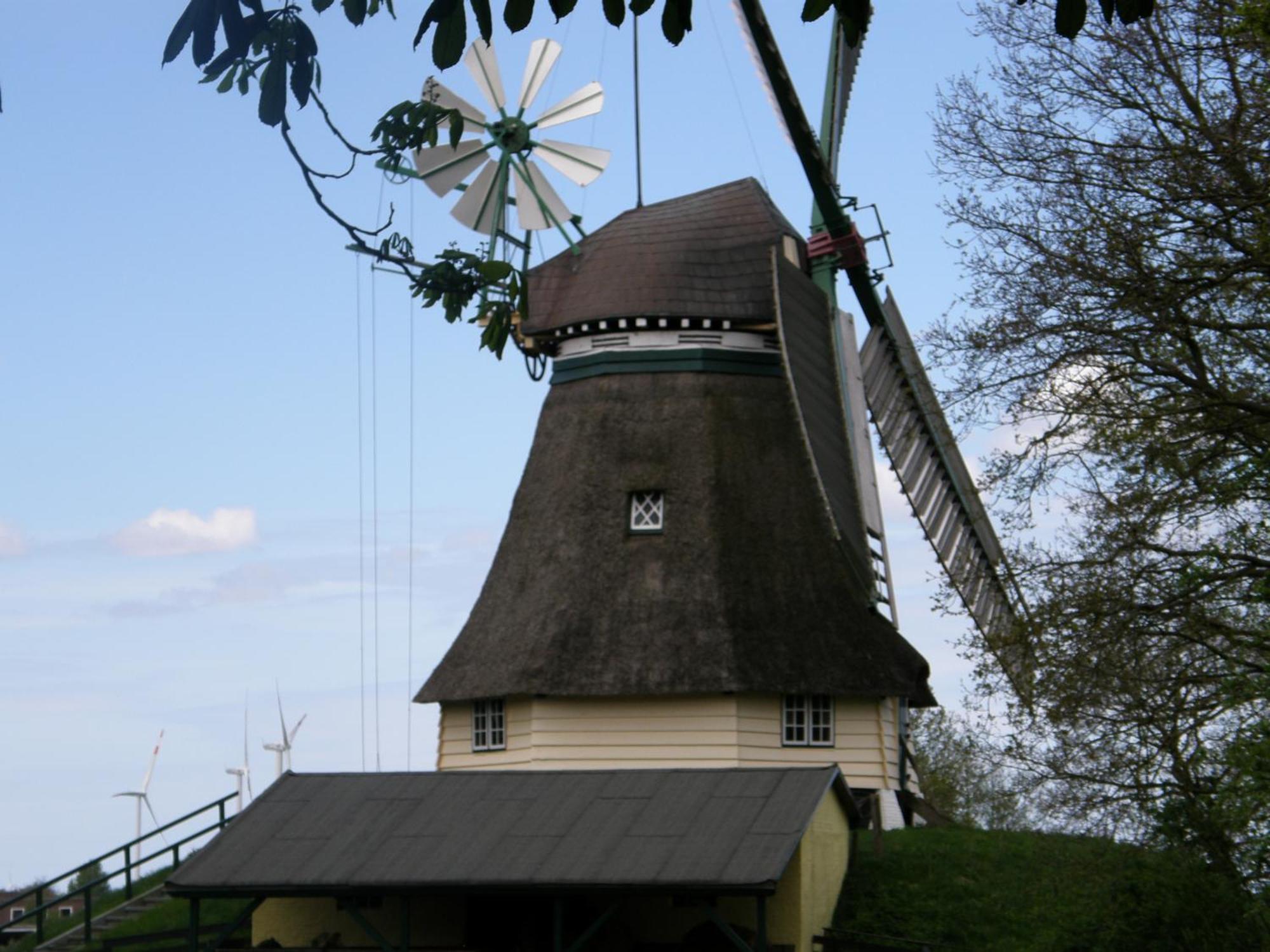 Landhotel Rehedyk Sankt Michaelisdonn Esterno foto